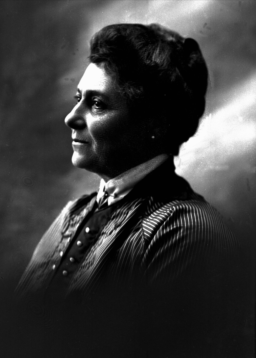 Gustav Borgen, NFB.05937