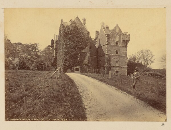 Unknown, Monkstown Castle Co. Cork