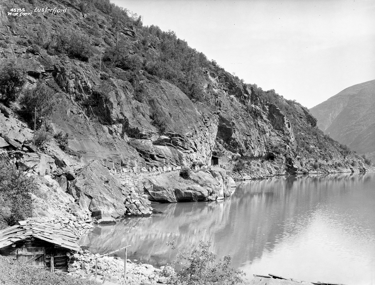 Anders Beer Wilse, Prot: Lusterfjord vei mellom Luster og Skjolden