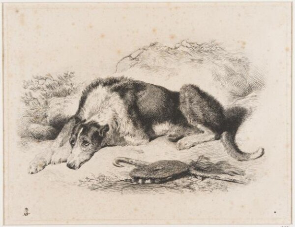 Edwin Landseer, A Deer Hound