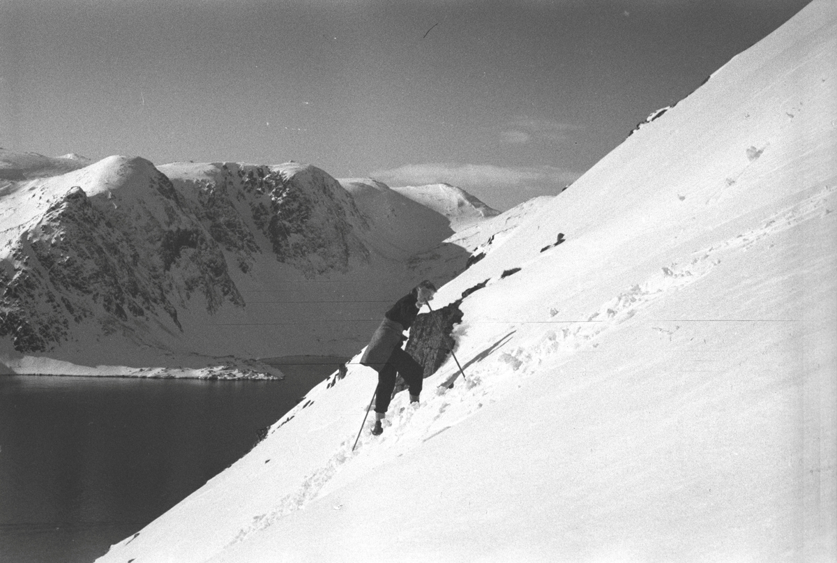 Ola Hanche-Olsen, NO.F004037