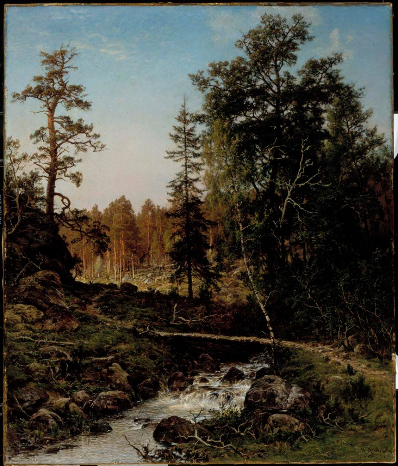 Hjalmar Munsterhjelm, A Forest Landscape from Hauho