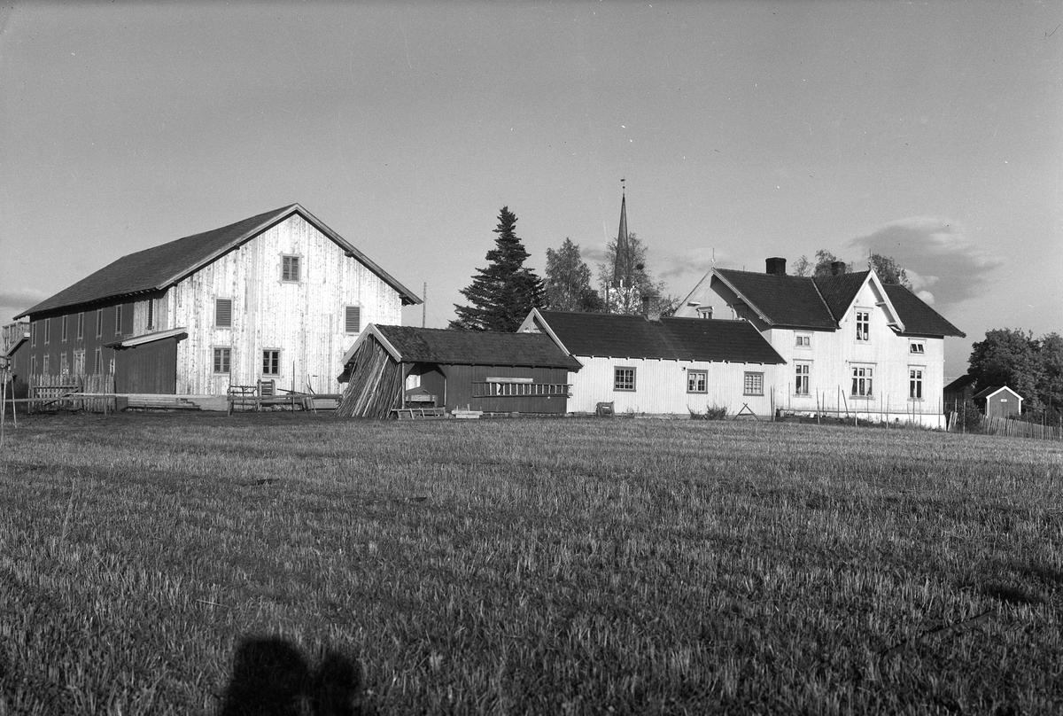 Anno Domkirkeodden, EKSTR: GARDSTUN, KIRKENÆR, LØTEN. Se Løtenboka, bind 1. Bygdeboka fra 1949, side 282