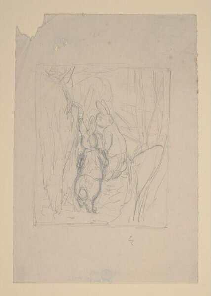 Potter, Beatrix, drawing