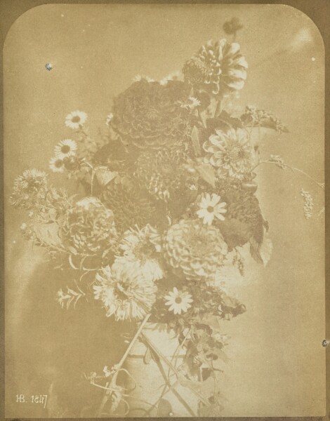 Hippolyte Bayard, [Vase of Flowers]