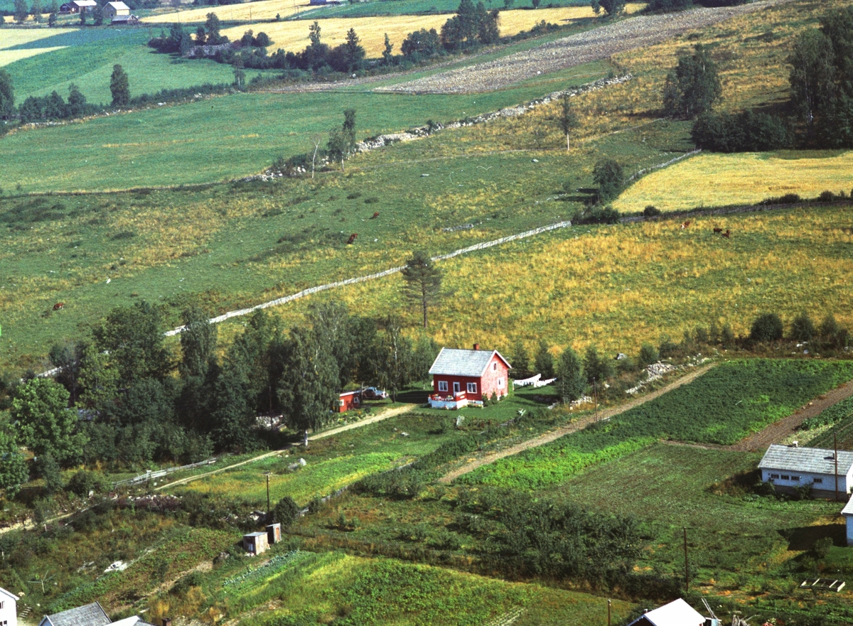 Widerøes Flyveselskap A/S, Flyfoto, Småland, Gaupen, Ringsaker.