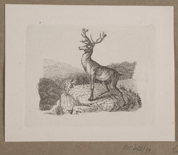 Vilhelm Kyhn, Illustration til O. Specter, "Fabler for Børn"
