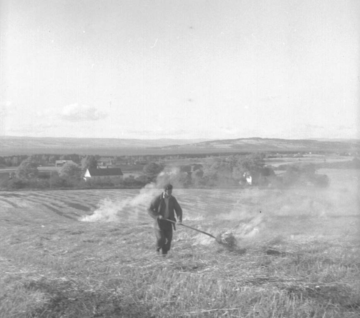 Anno Domkirkeodden, SKURONN, TRESKING, HALMBRENNING, LALUM GÅRD,