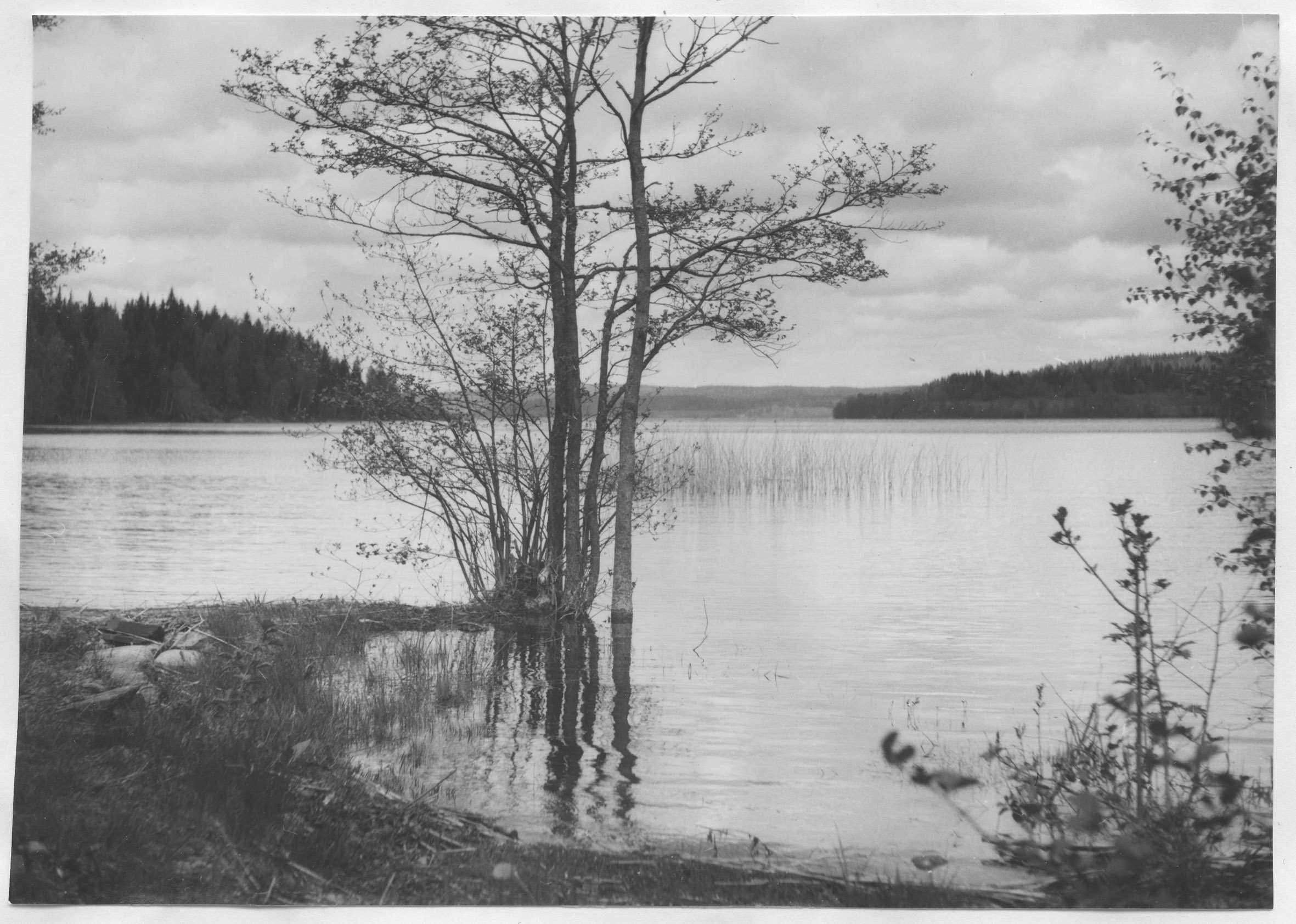 Mårten Sjöbeck, Källsviken