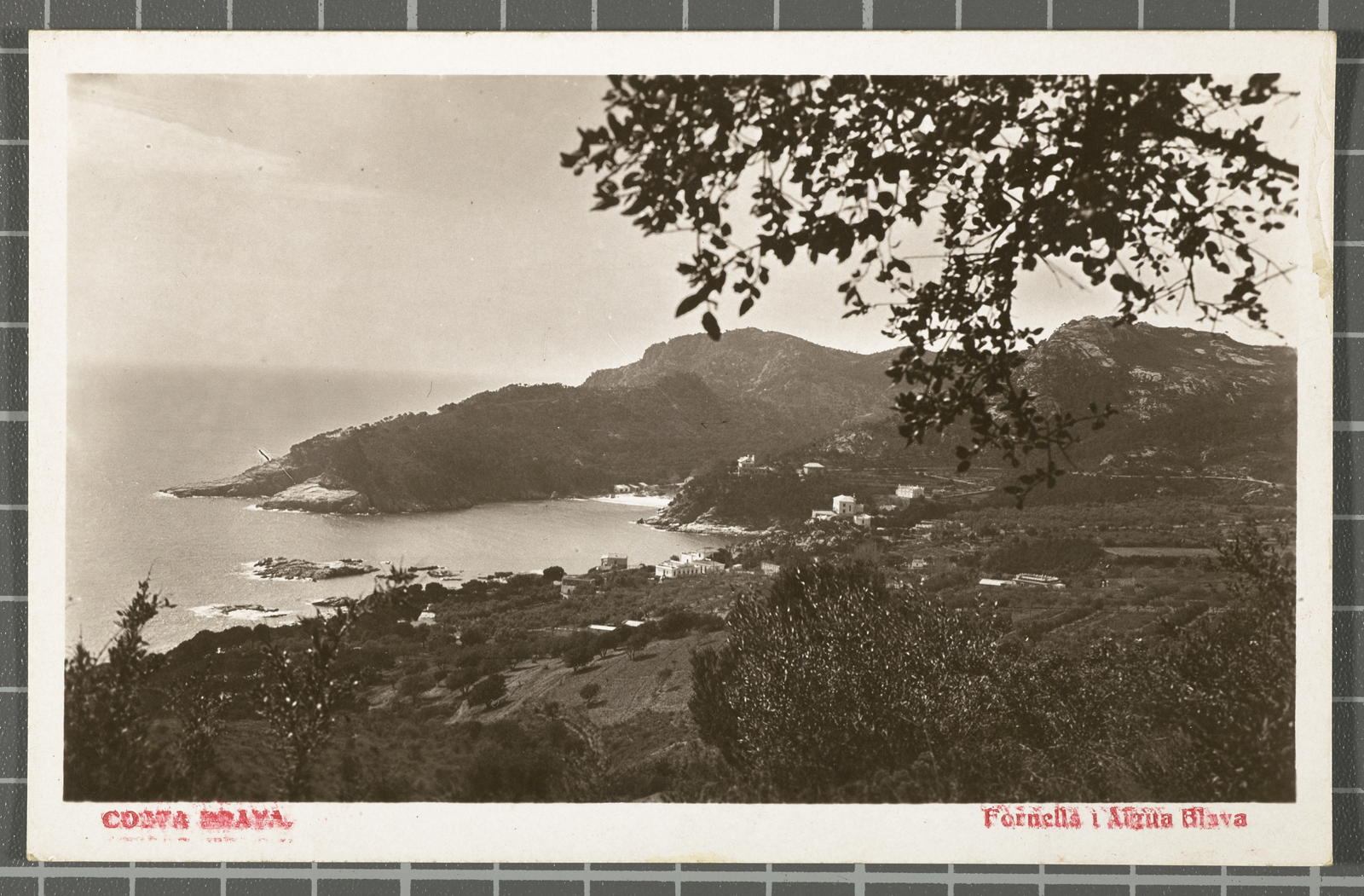 Desconegut, Costa Brava. Fornells i Aigua Blava