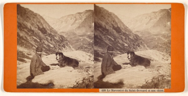 Unknown, Le Maronnier du Saint-Bernard et son chien.
