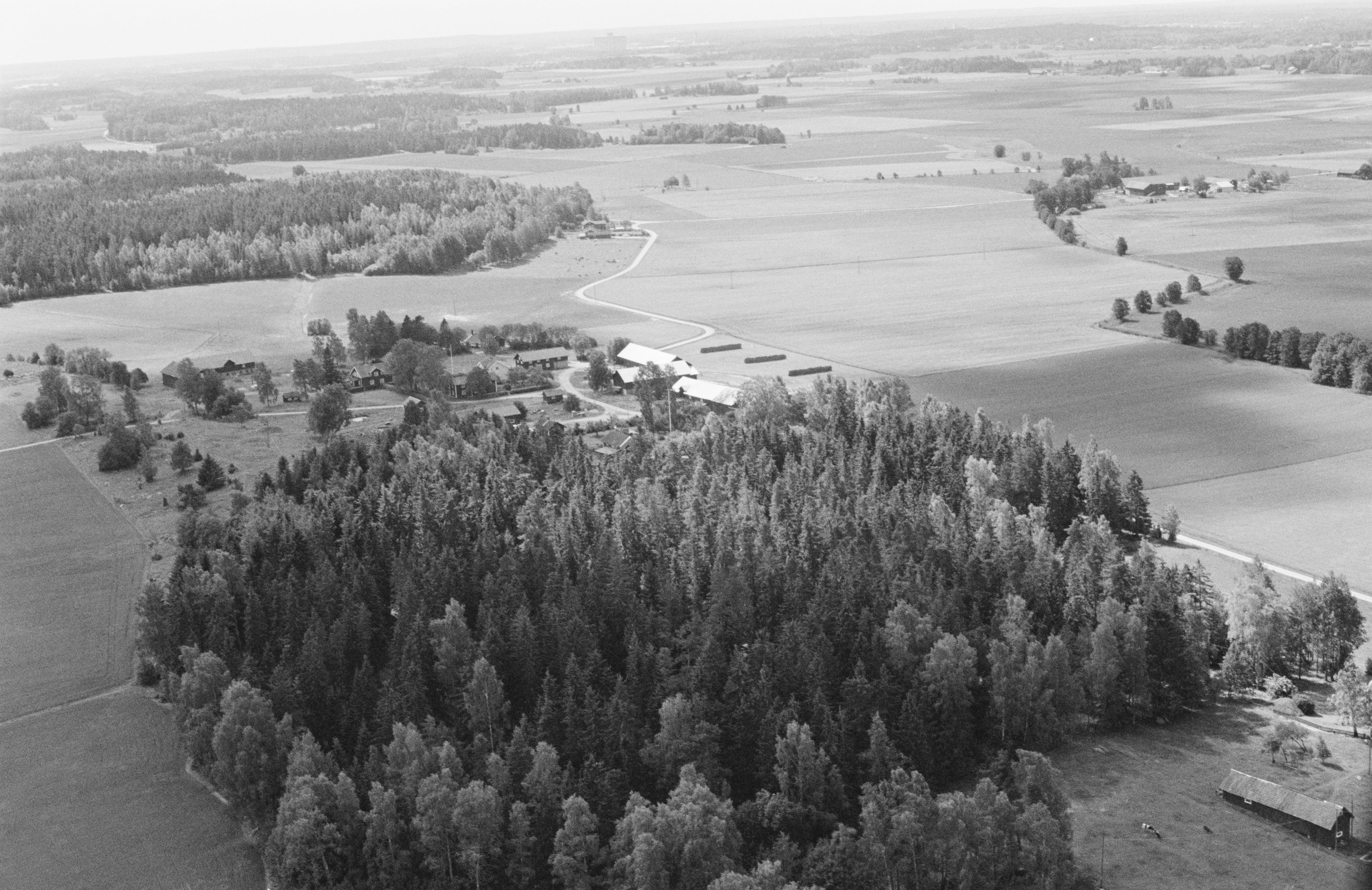 Jan Norrman, Munktorp 132:1