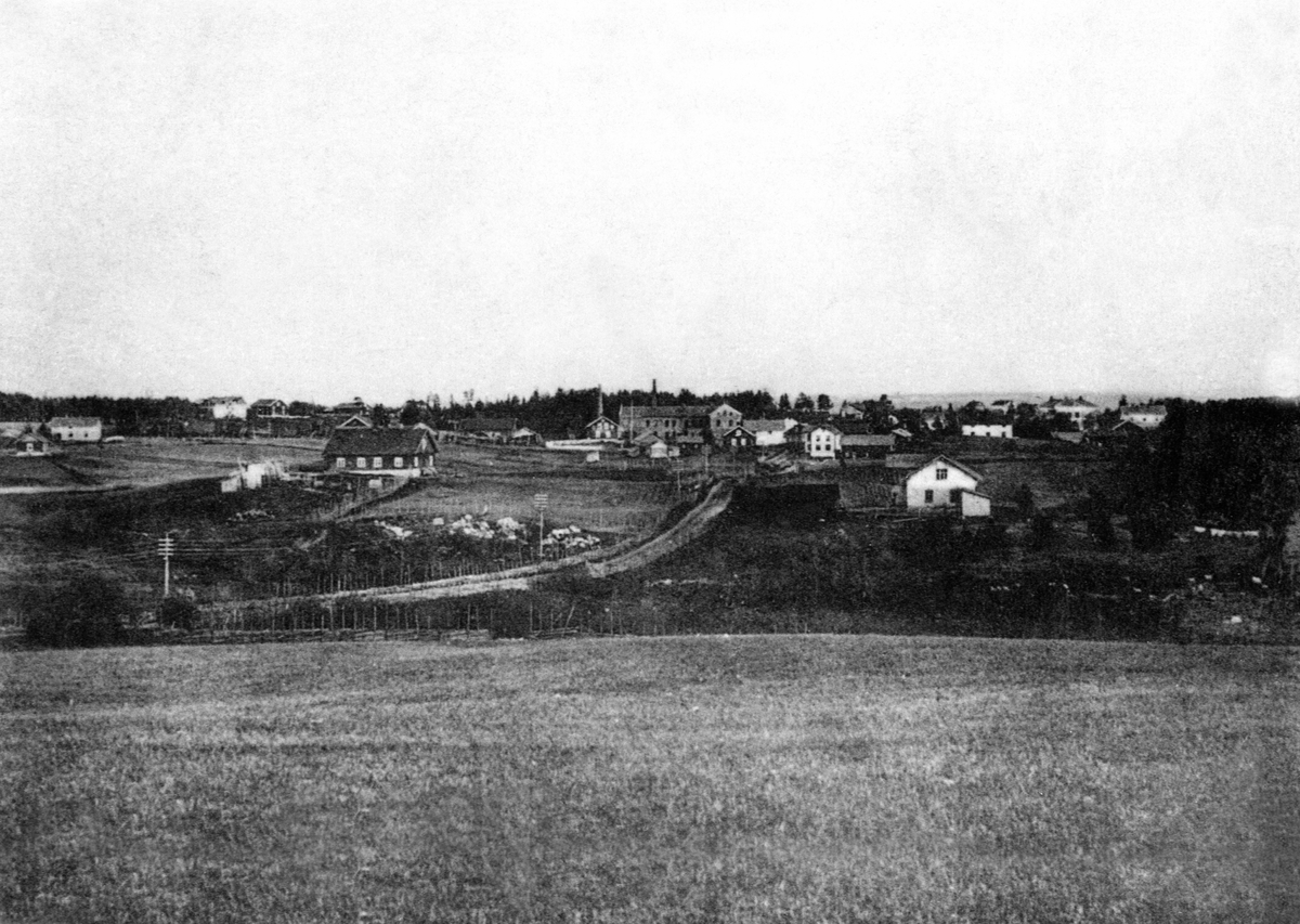 Anno Domkirkeodden, OVERSIKT LØTEN SENTRUM, VEENSJORDET, VINGERGJESSA, STASJON SETT FRA KONGSVEGEN, 1895. UENIGHETA - ARBEIDERBOLIG FOR VEN TV, TH VENSHAGEN SOM VAR SMED NORDSKOGENS HUS OG SMIE, KOLBERG TH, LILLEBERG TV, FRYDENBERG, TINGBERG, MEIERIET, STASJONEN.
