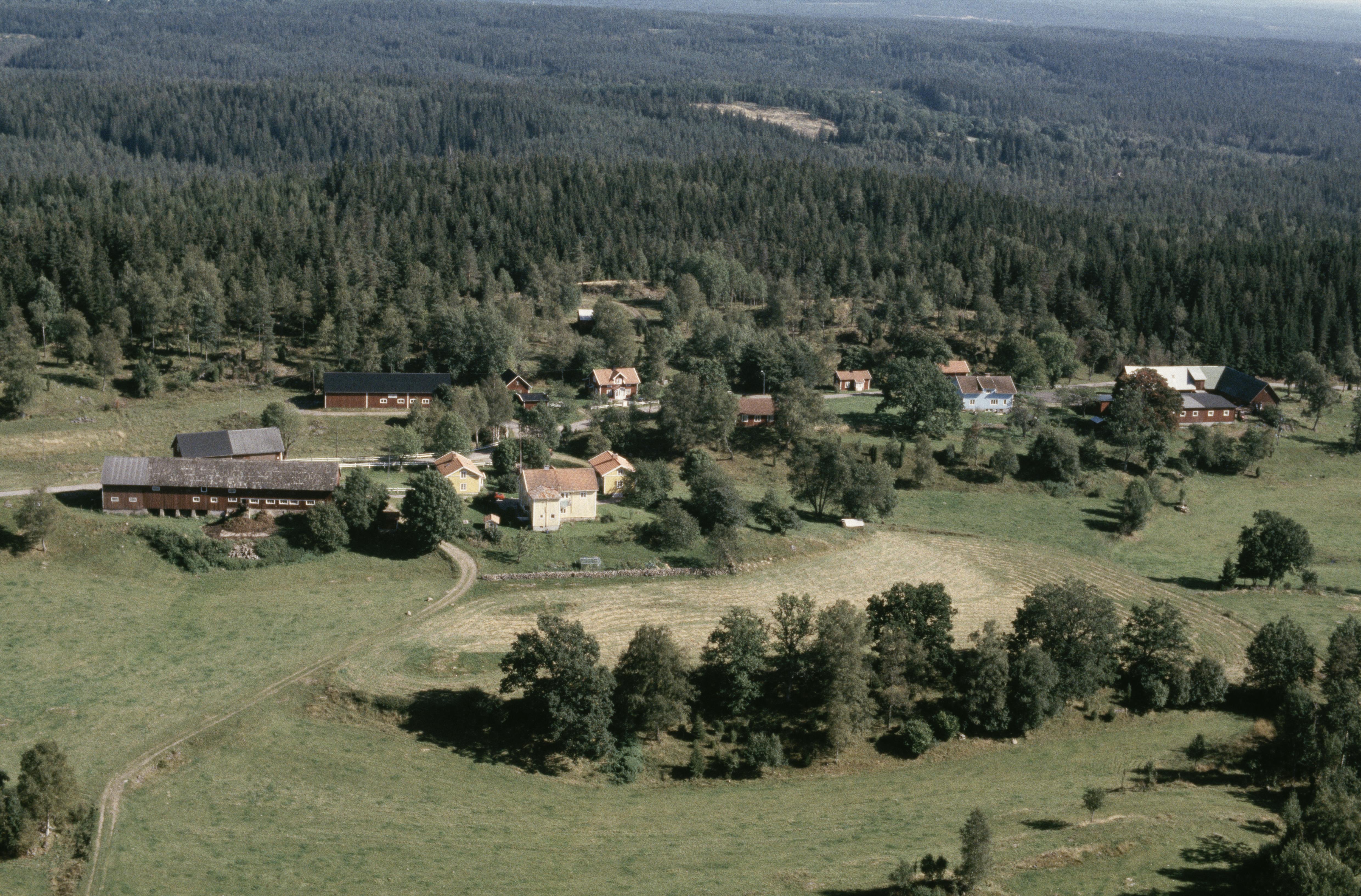 Jan Norrman, Pålskog
