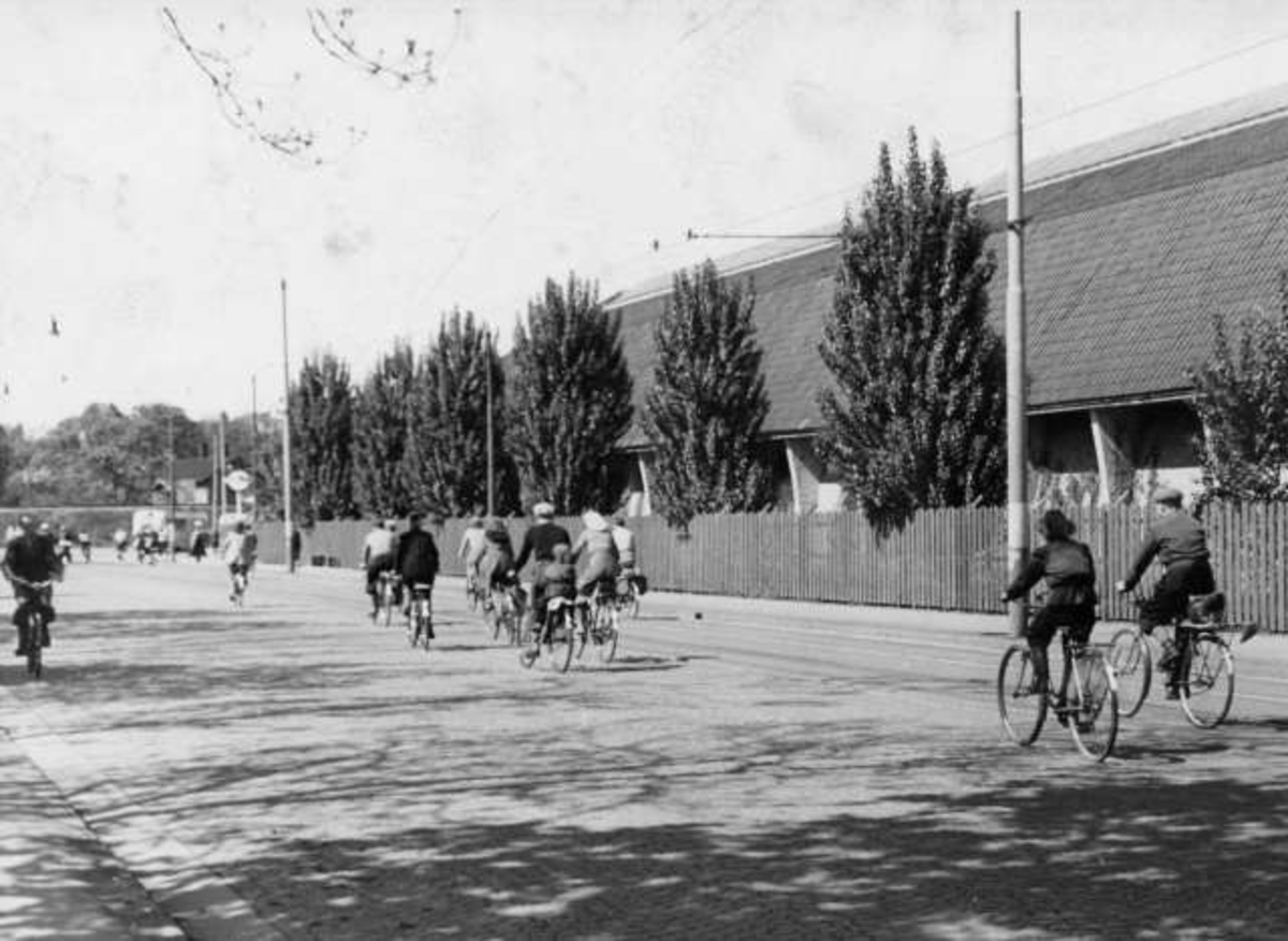 Anders Beer Wilse, -6265