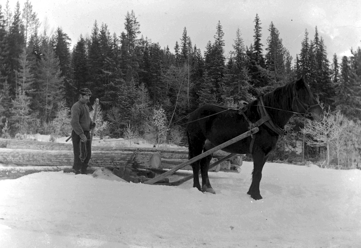 Ole Hansen Løken, TØMMERKJØRING, LUNNING MED HEST, BUKK OG GEIT, UKJENT MANN.