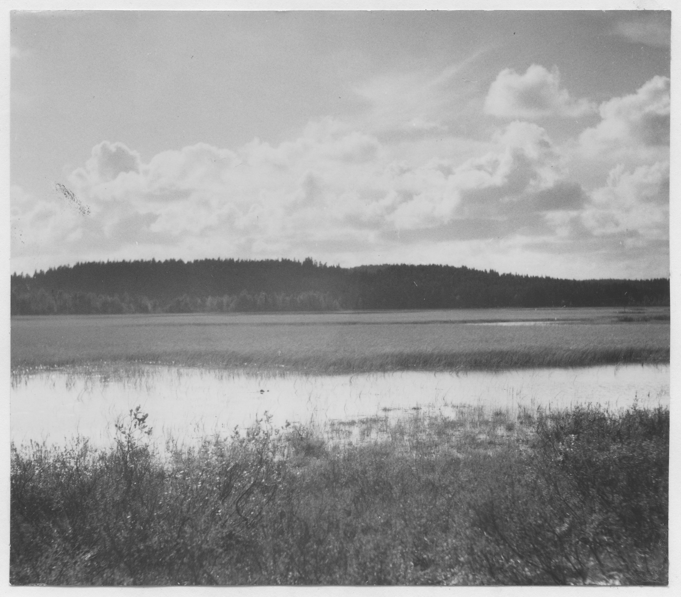 Mårten Sjöbeck, Starrmyr öster om Tingvalla station