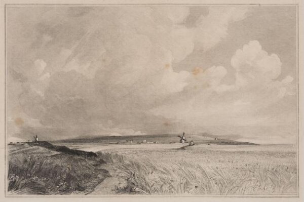 Constable, John RA, Cornfields near Brighton