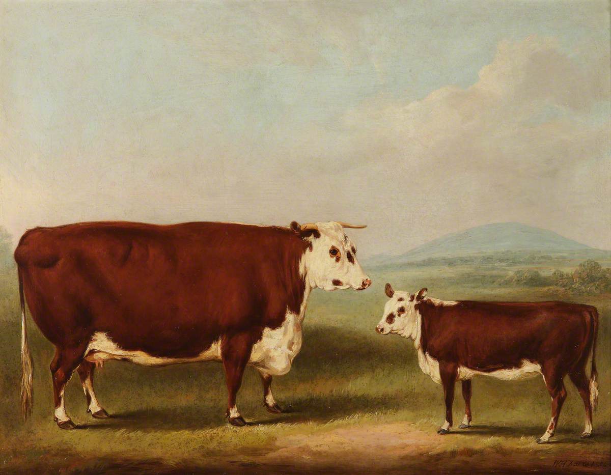 William Henry Davis, Prize Cow and Calf