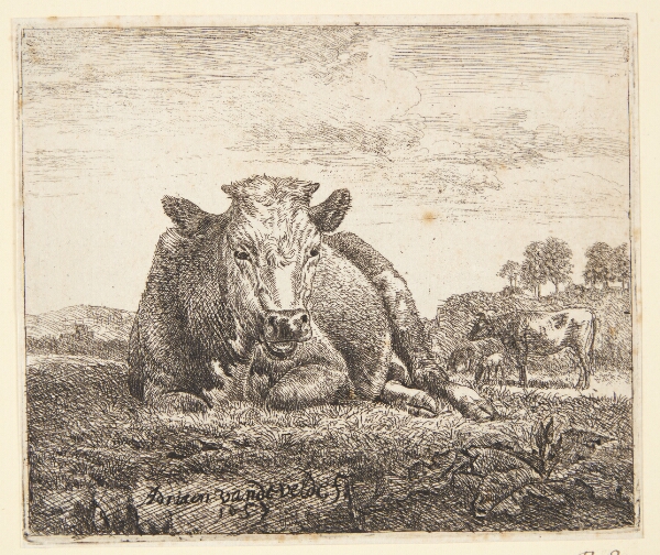 Adriaen van de Velde, Liggende ko