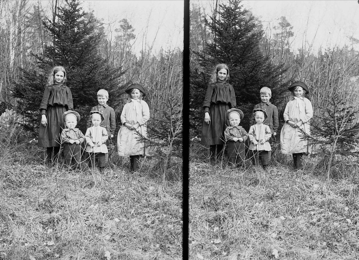 Axel Quinsgaard Wiborg, Gruppeportrett av fem søsken Q. Wiborg i krattskogen, Digerud, Frogn, Akershus, 1906.