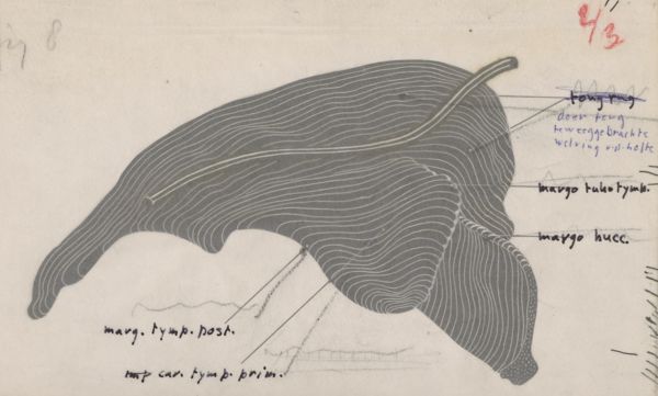 Harry de Bles, Part of the respiratory or digestive system