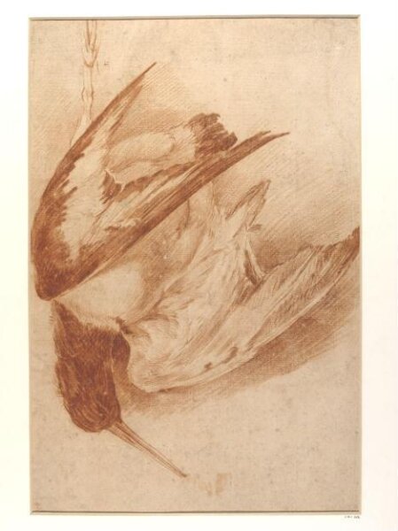 Unknown, A Dead Snipe