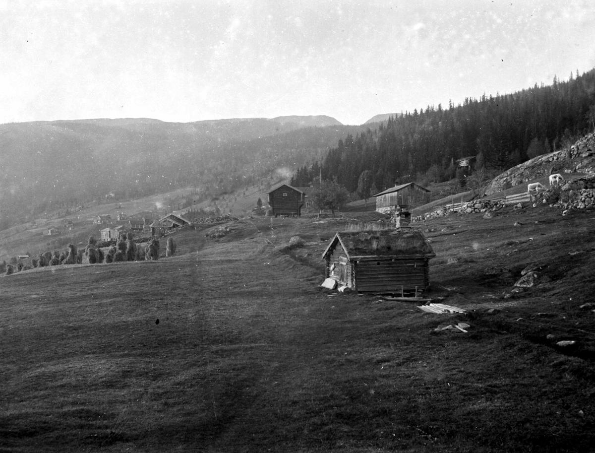 Juliane Fredrikke Langberg, Fra Eggedal, Sigdal, utsyn over bebygd dalside med beiteområde og kornstaur. Uthus i forgrunnen. Fra besøk hos Th.Kittelsen. Fra malerinne Juliane Fredrikke Langbergs (1856-1930) samling tatt ca. 1895-1910 med motivkrets slekt og venner og steder tilknyttet samvær med disse.