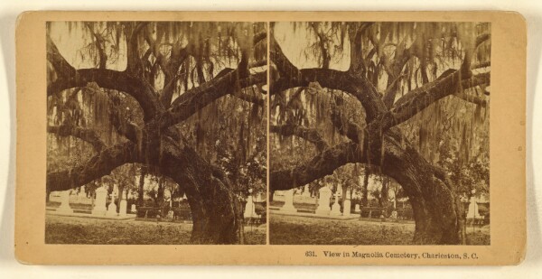 Benjamin West Kilburn, View in Magnolia Cemetery, Charleston, S.C.