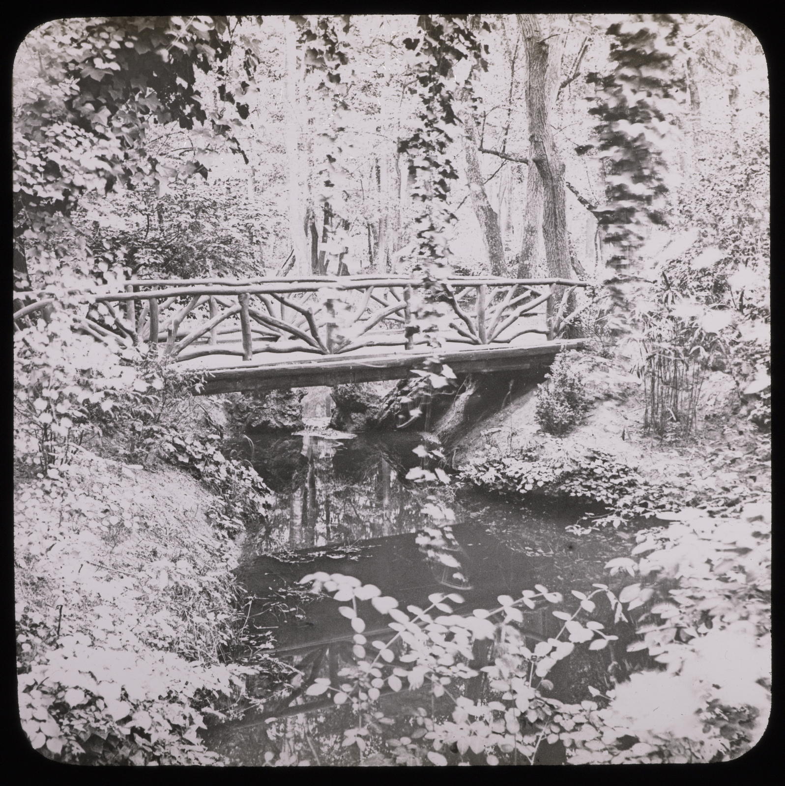 Desconegut, Paris, le bois de Boulogne, pont rustique Mazo, E.