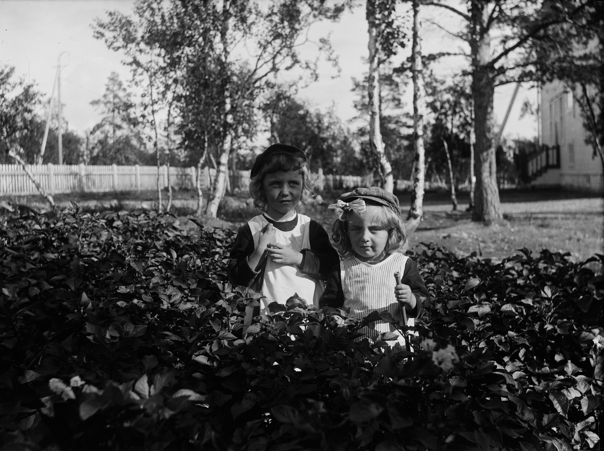 Josef Ärnström, Rolf och Kalle Ärnström, Uppsala