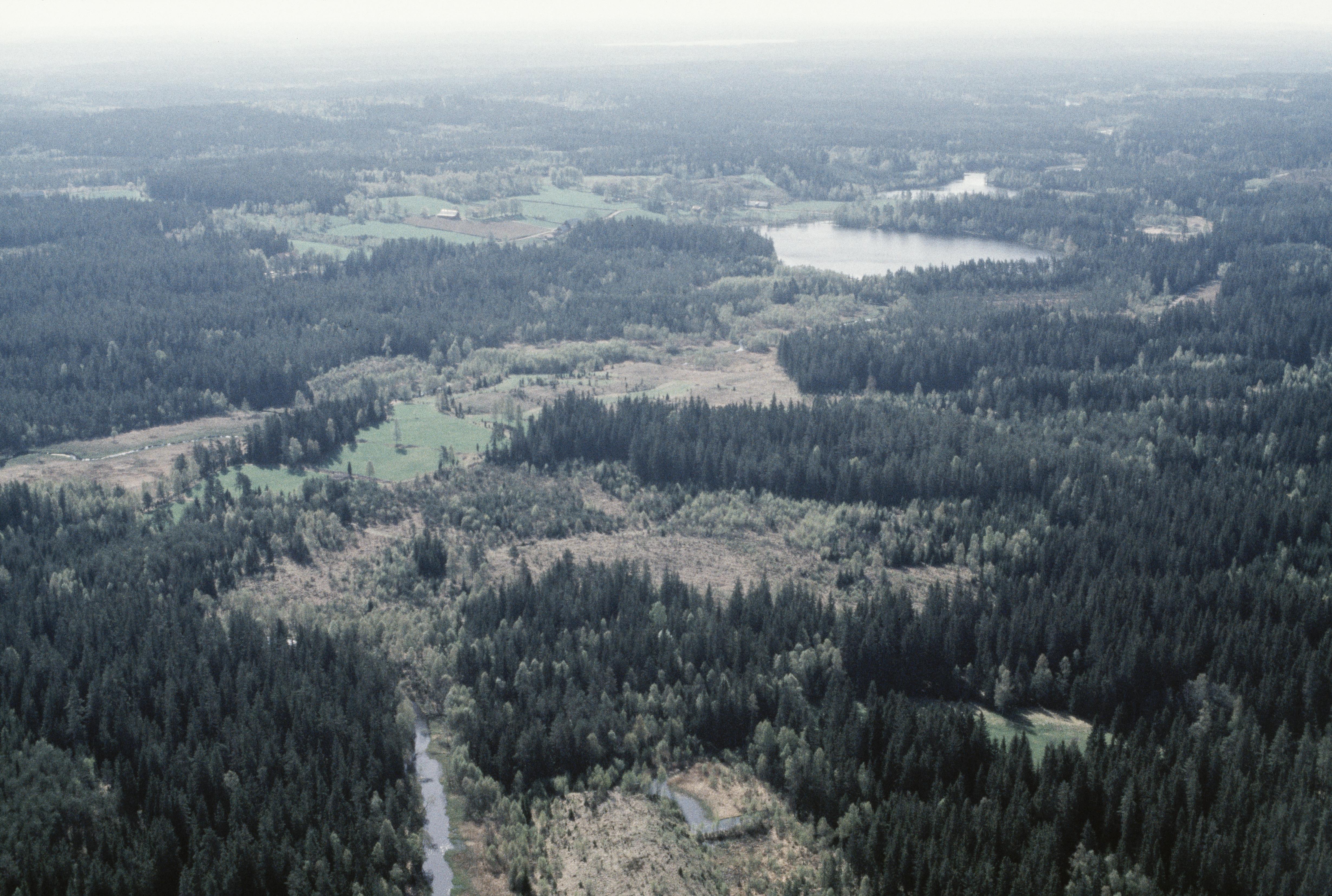 Jan Norrman, Bringetofta 85:1