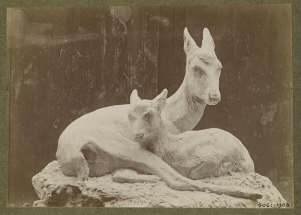 unknown, Photograph