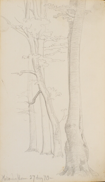 P.C. Skovgaard, Skovinteriør