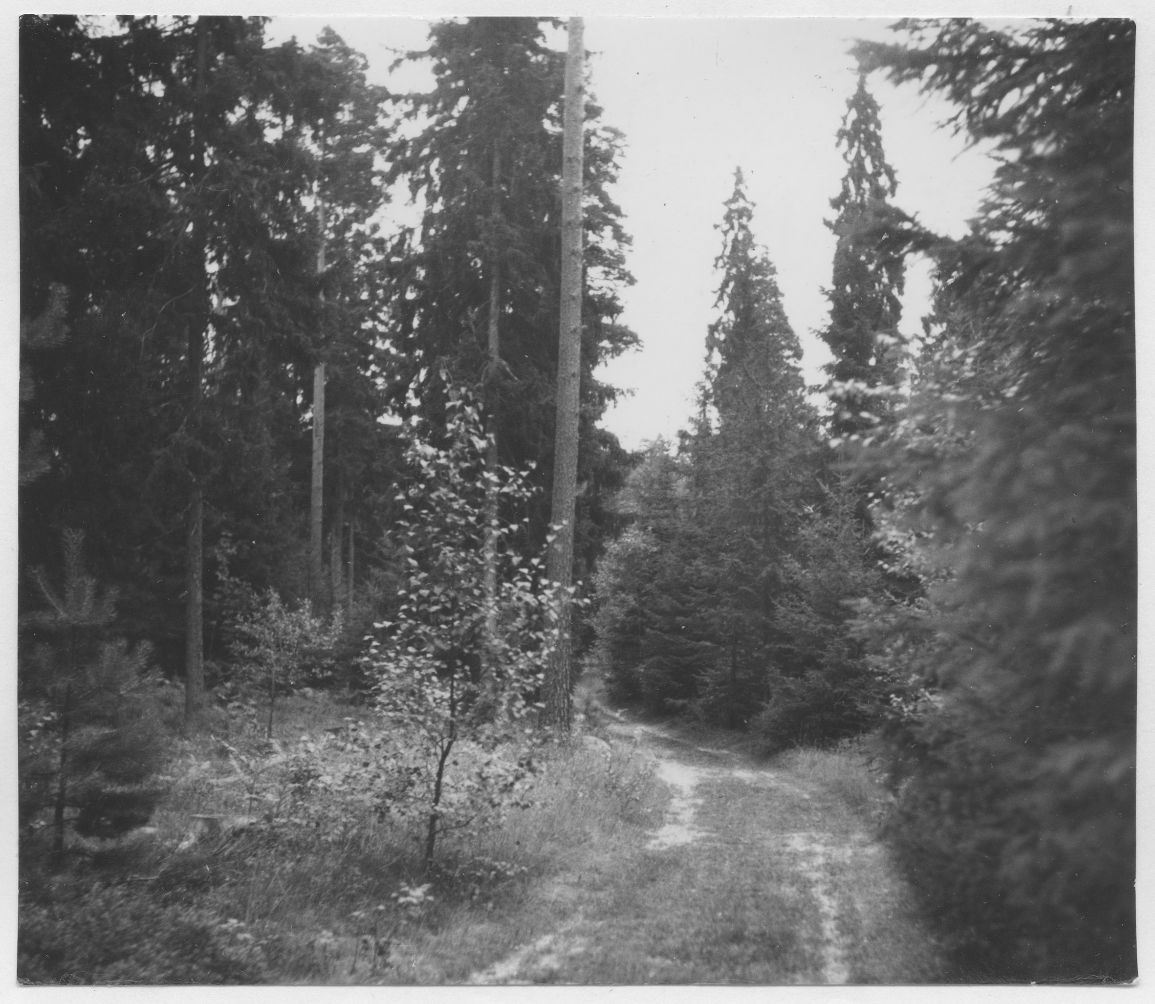 Mårten Sjöbeck, På mon vid Ed Gamla och nya vägen från Ed till Nössemark