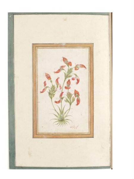 Unknown, Painting