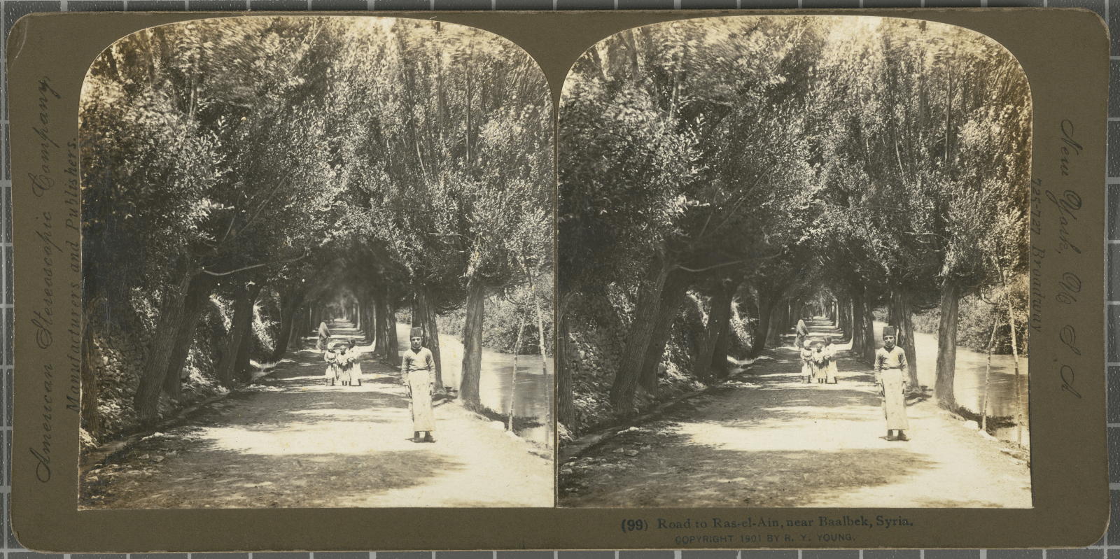 Desconegut, Road to Ras-el-Ain, near Baalbek, Syria. American Stereoscopic Company