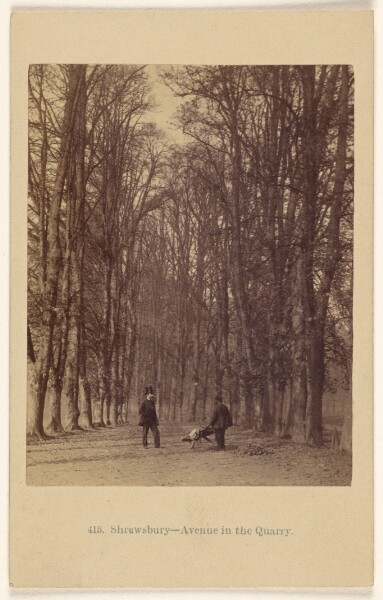 Francis Bedford, Shrewsbury - Avenue in the Quarry.