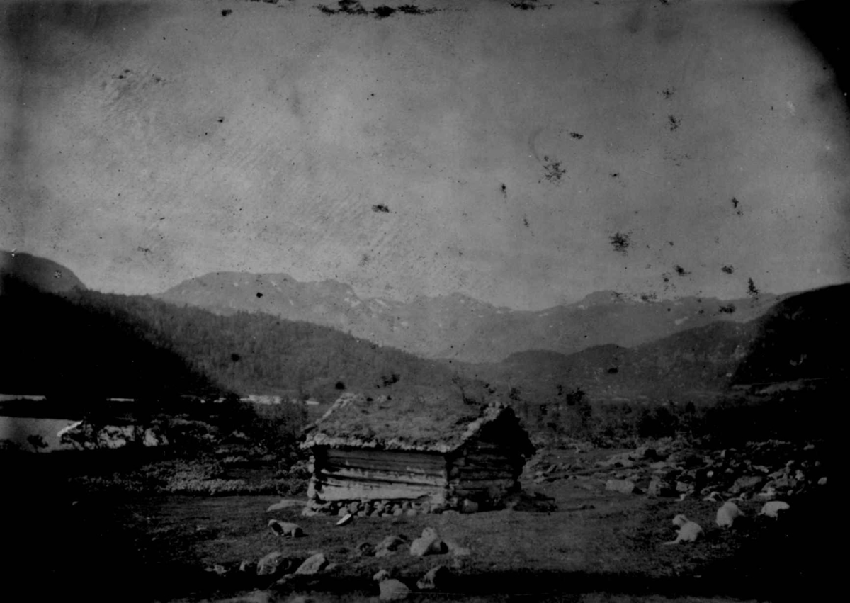Ukjent, Fra en serie fotografier fra et album som har tilhørt folklorist og professor Moltke Moe (1859-1913), antatt fra 1880-årene med motiver fra Telemark.