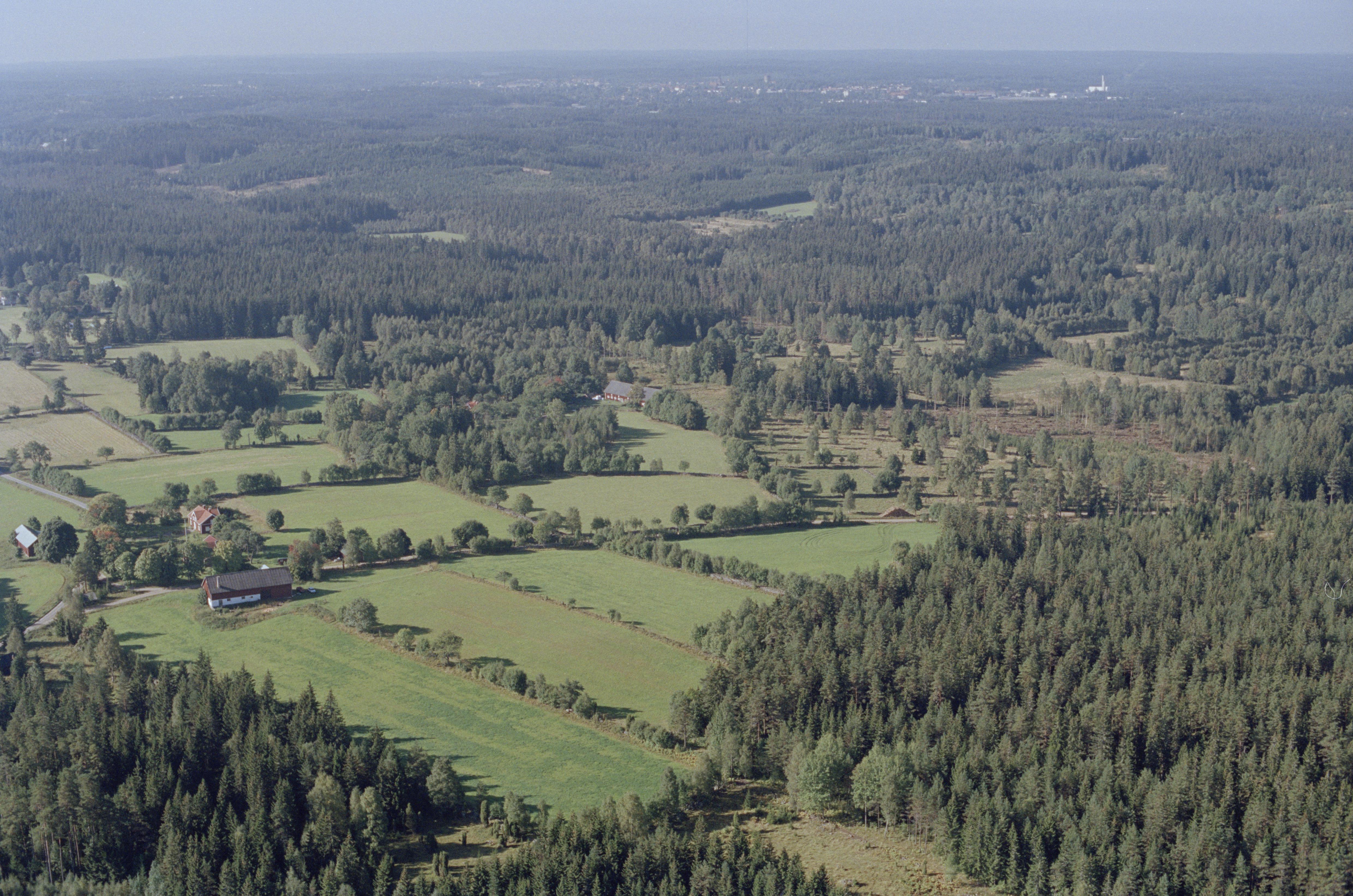 Jan Norrman, Danstorp