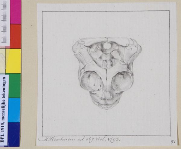 M Houtman, Child's skull