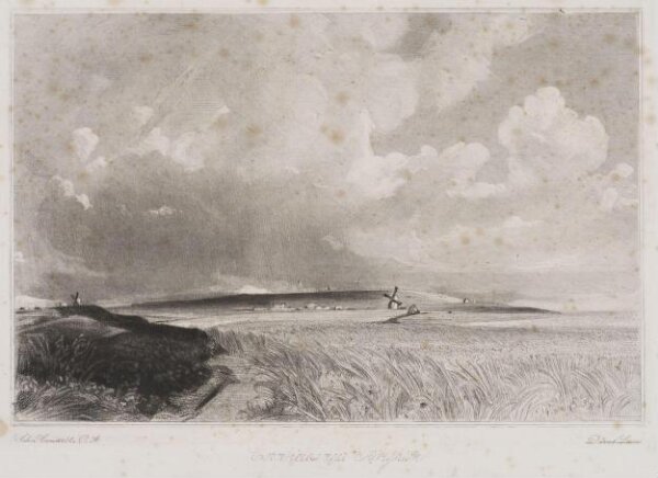 Constable, John RA, Cornfields near Brighton