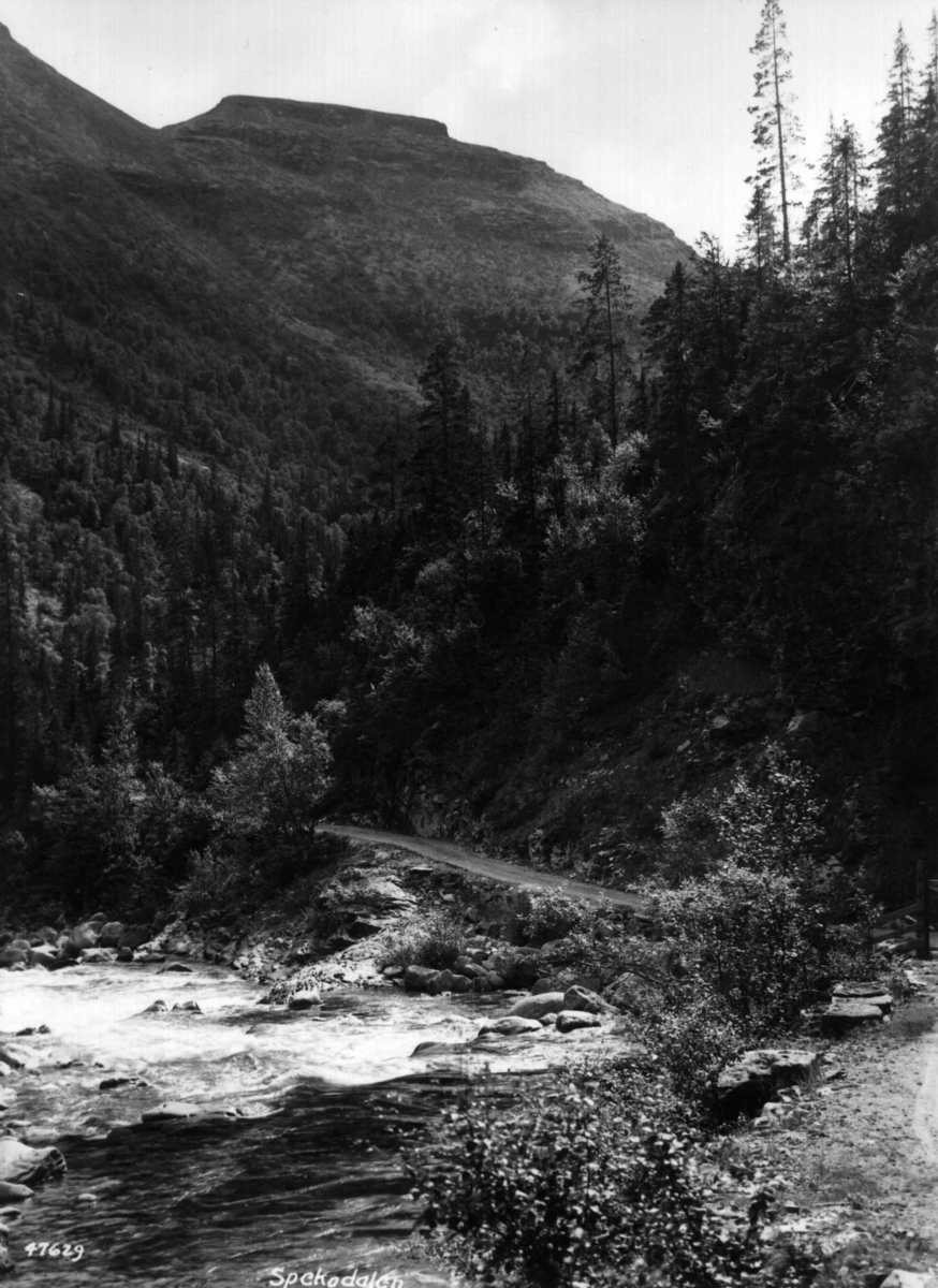 Anders Beer Wilse, Landskap, Brydal, Spekedalen