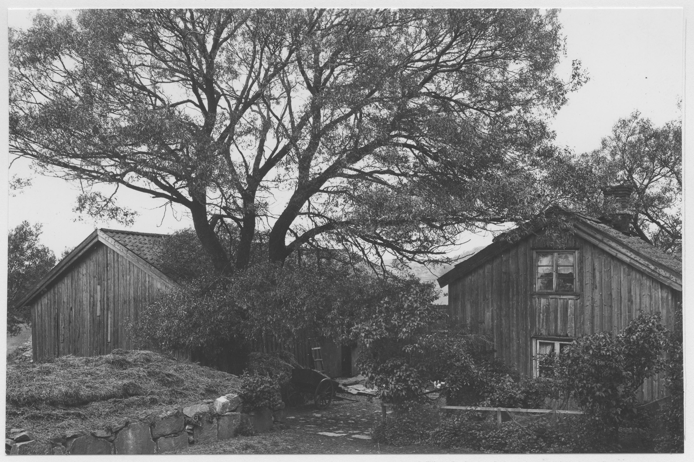 Mårten Sjöbeck, Tjörn