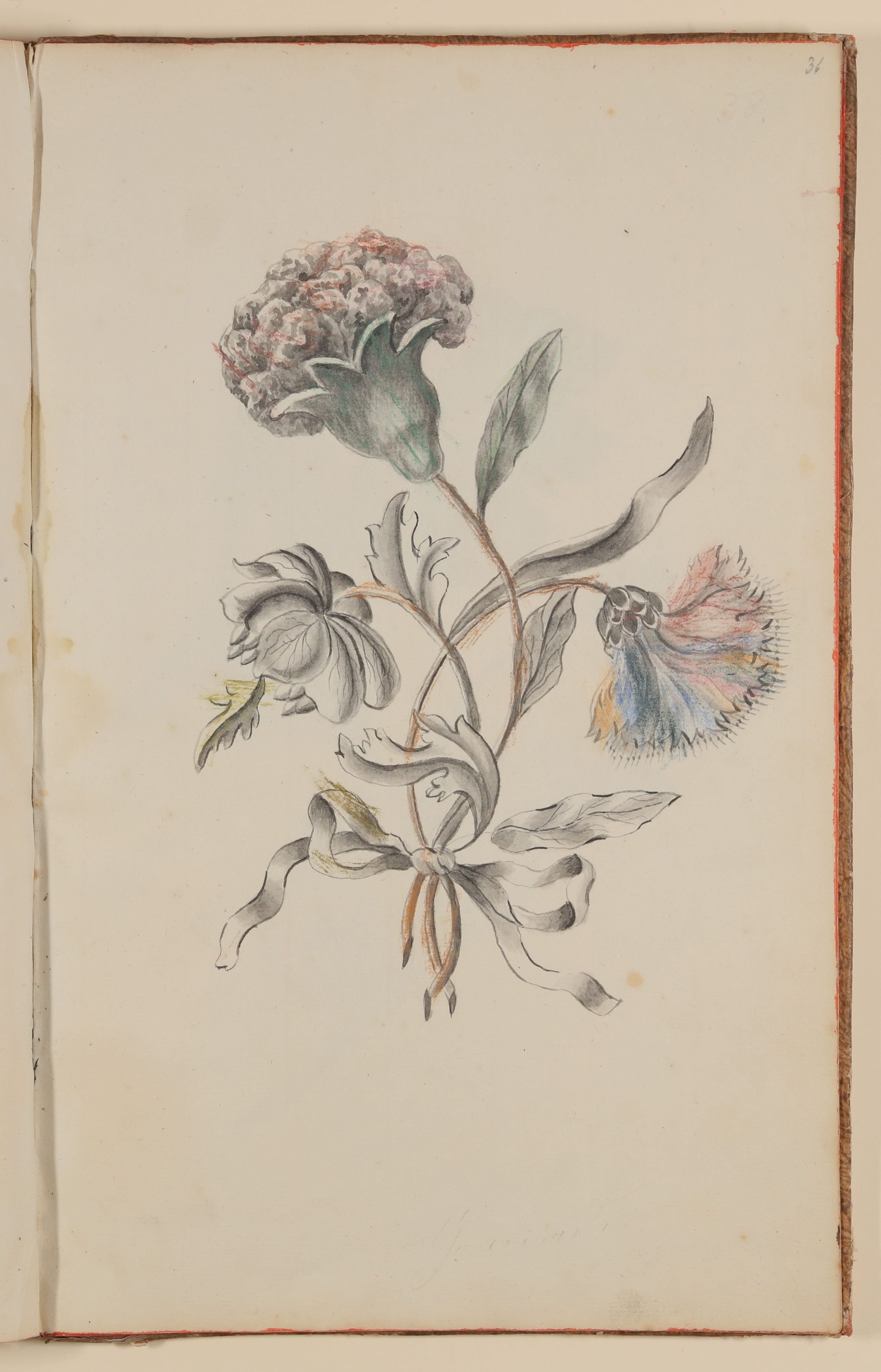 Marianne Franziska Seiffert von Klettenberg, Blumenstrauß mit Nelken und anderen Blumen [aus einem Skizzenbuch der Marianne Franziska Seiffert von Klettenberg]