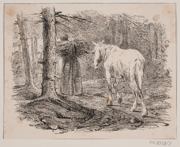 Adolph Kittendorff, Konen og hesten