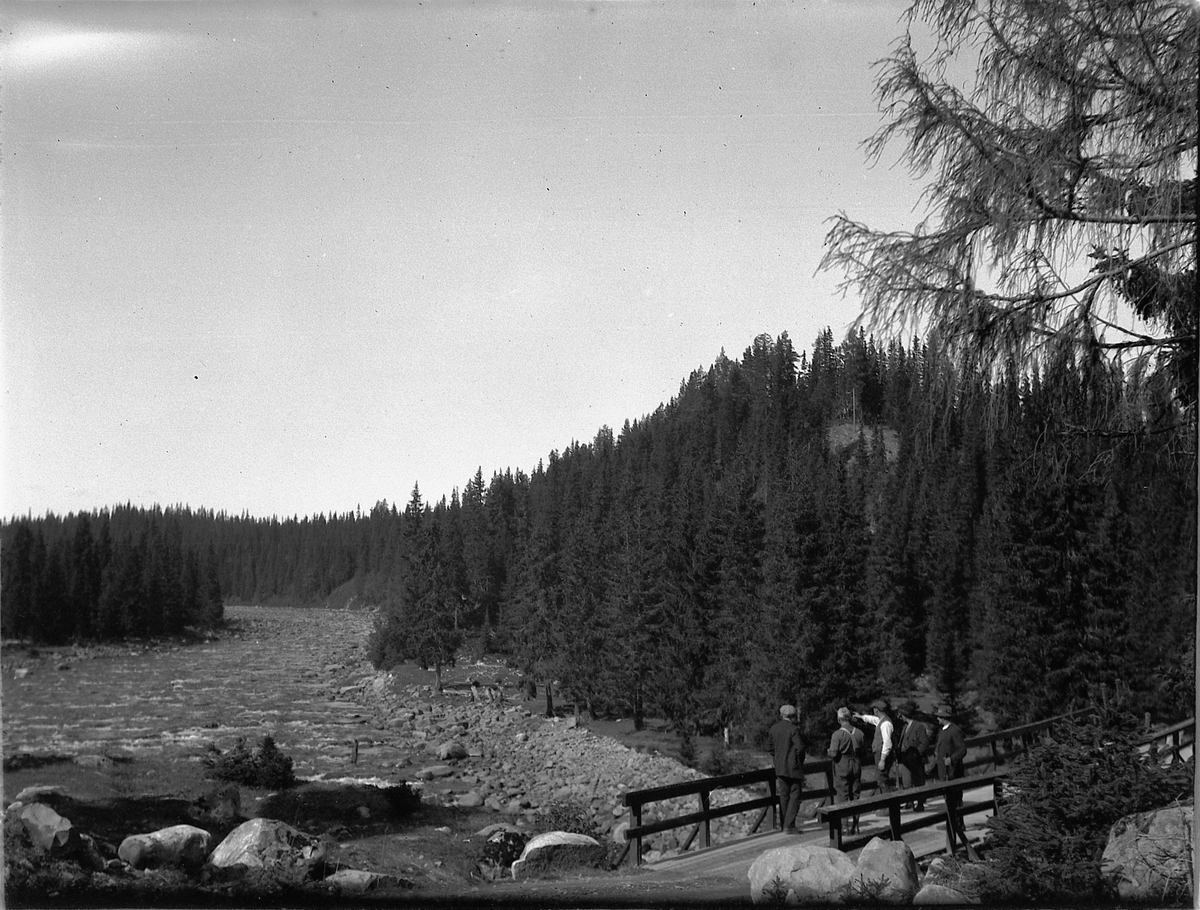Ragnvald Andersen, Fem menn på jakt i skogen står på ei bru. Åstadalen i Ringsaker?