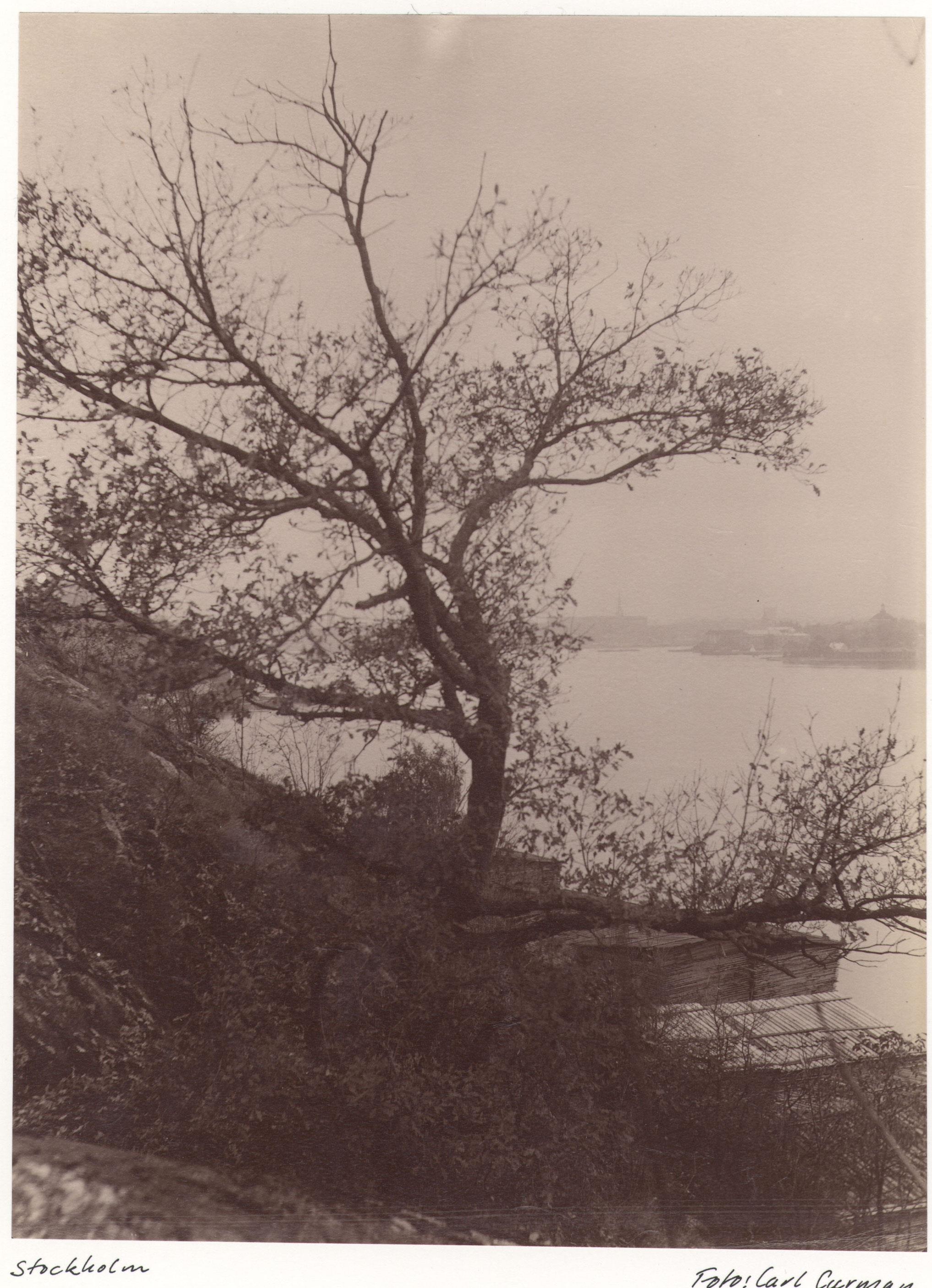 Carl Curman, Stockholm