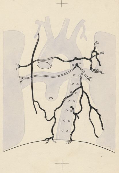 J Tinkelenberg, Part of the heart and circulatory system