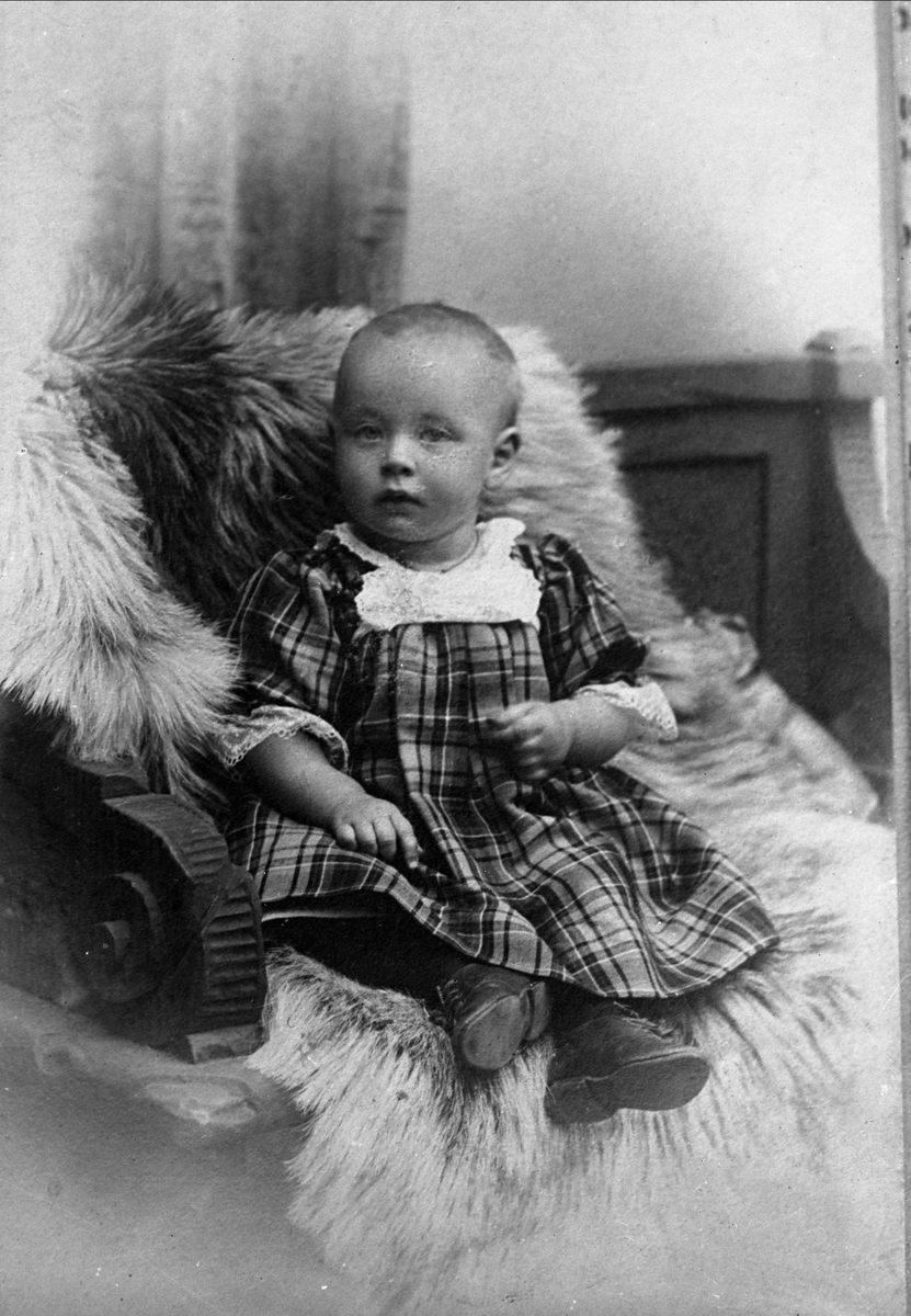 Gustav Borgen, Avfotografering.